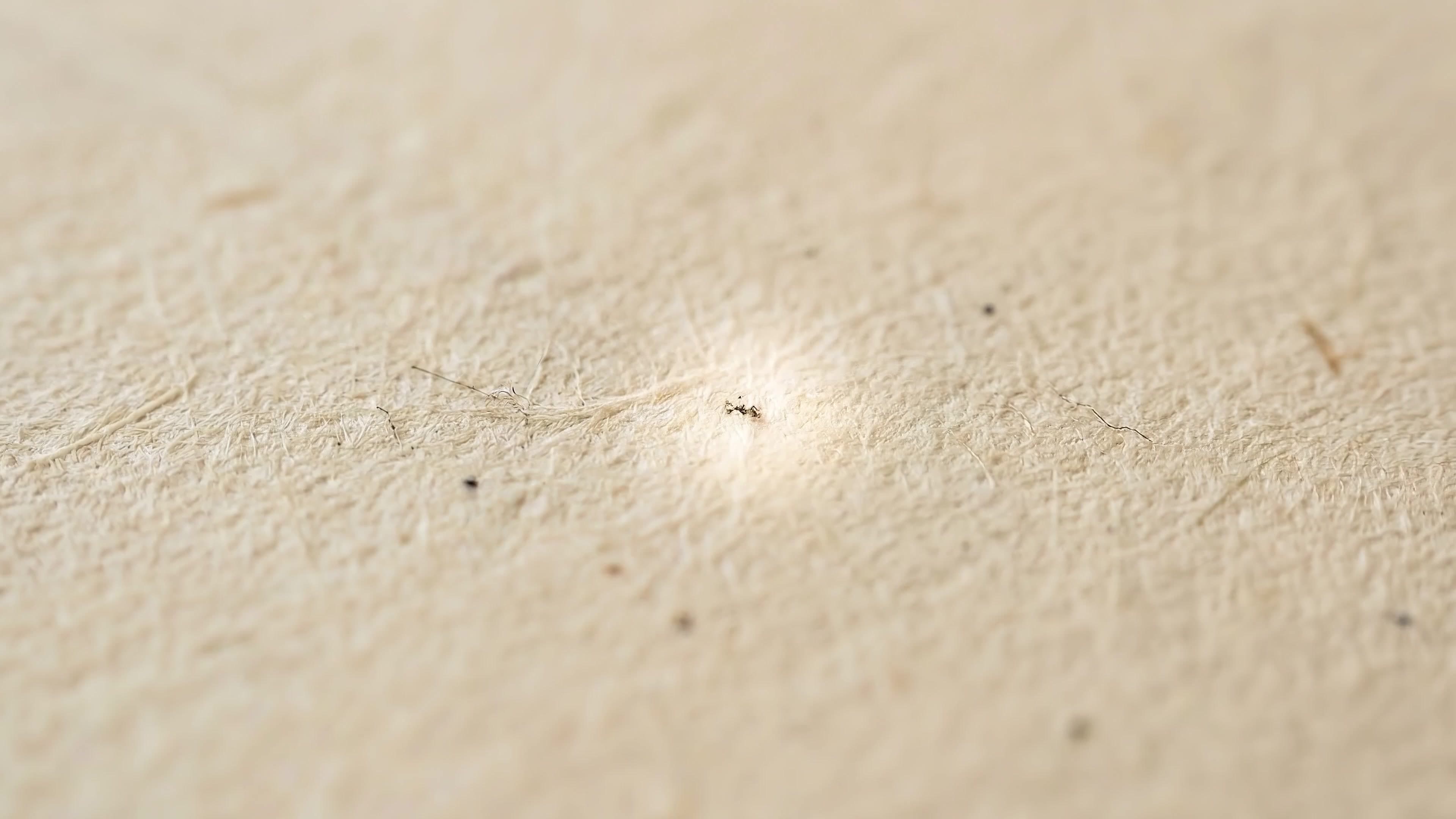 Trazado Architecture Cinematic